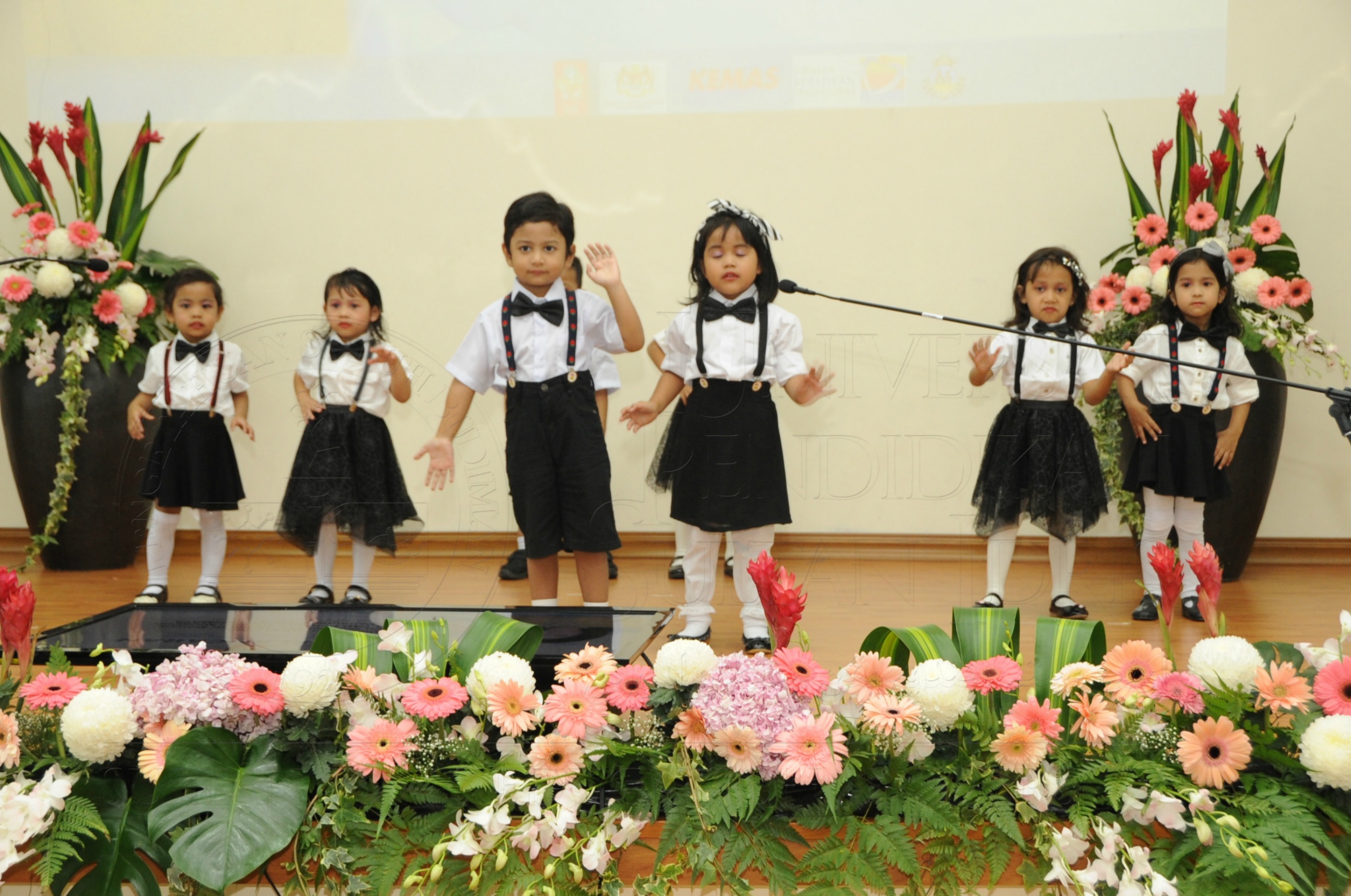 PRO16 32 NCDC HAS 3466